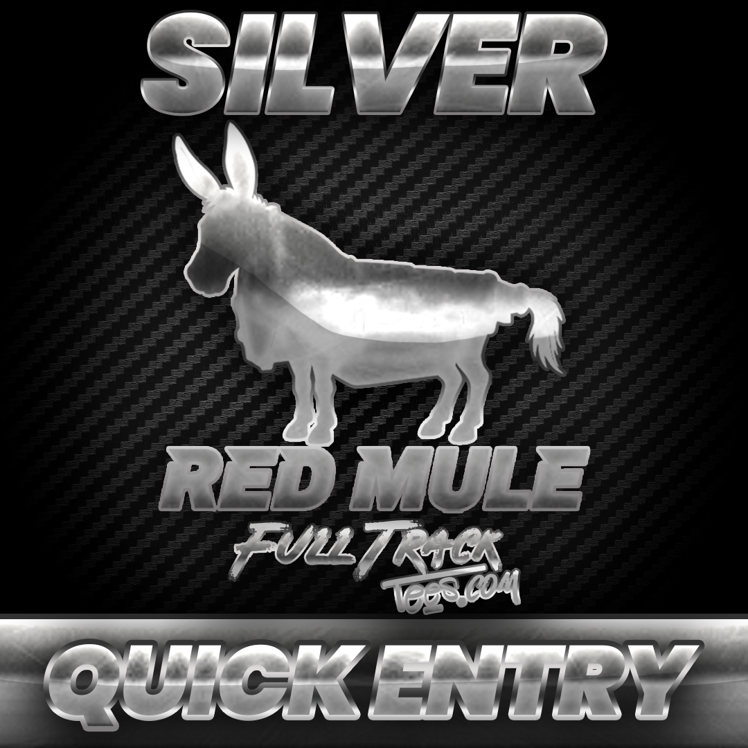 Silver Quick Entry +20 BONUS ENTRIES